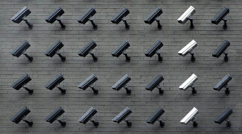 Look into their credentials